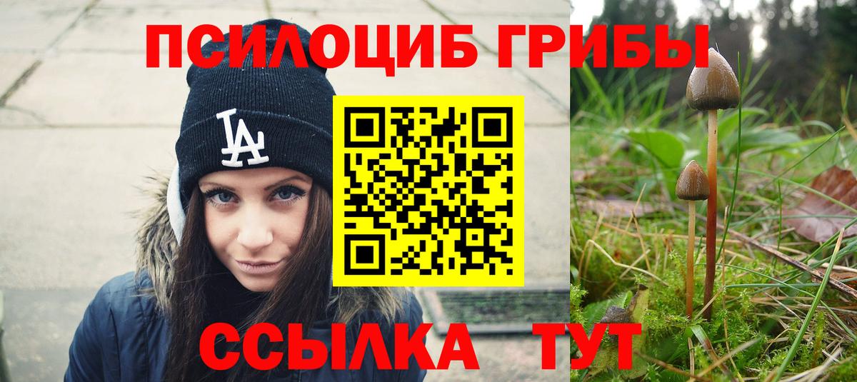 Минеральные Воды  Псилоцибиновые грибы мухоморы  Вход с VPN 