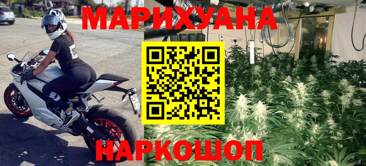 Шишки марихуана планчик Минеральные Воды